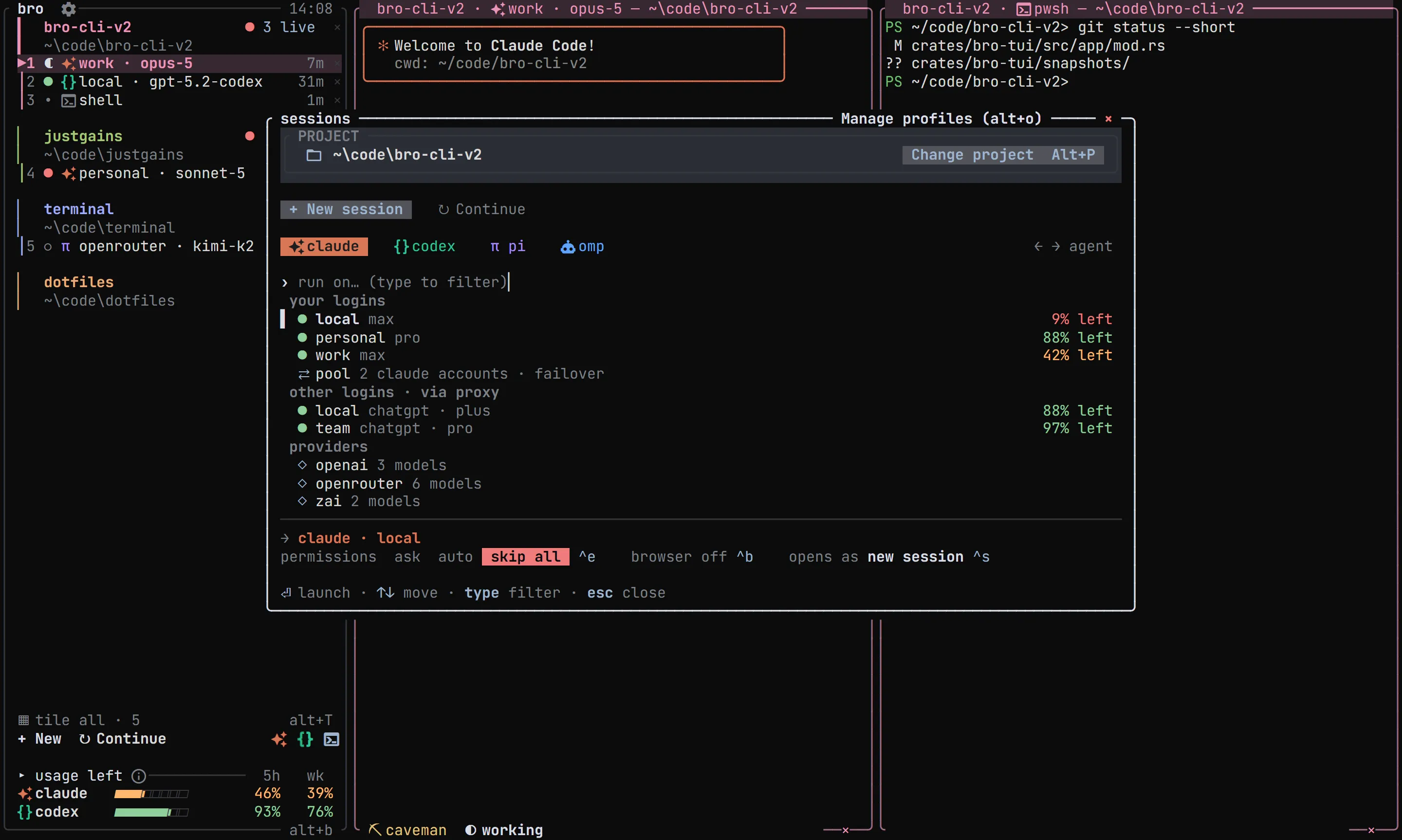 bro new-session launcher with agents, logins and providers
