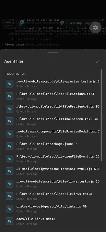 Mobile companion listing files the agent touched