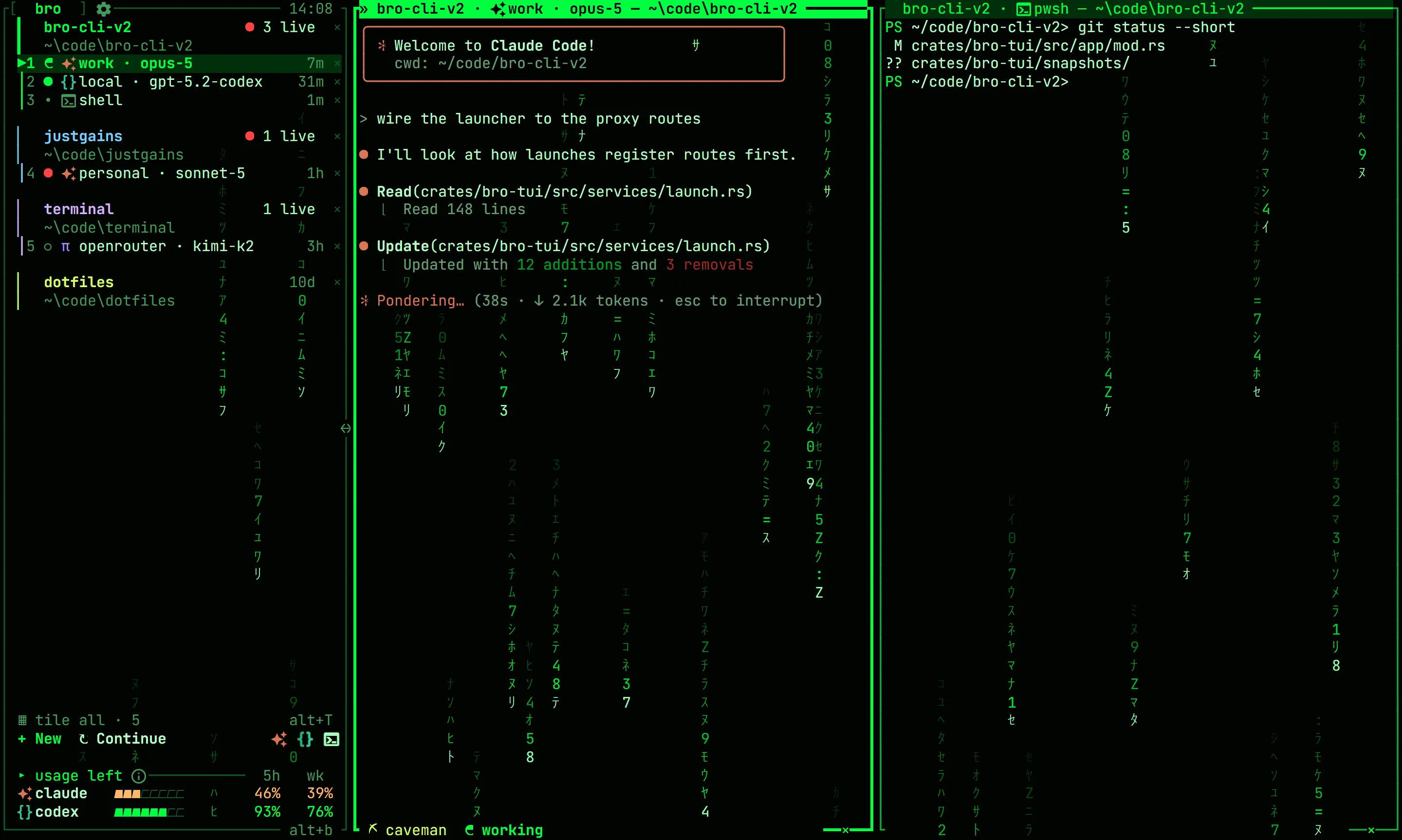 bro in the digital-rain theme